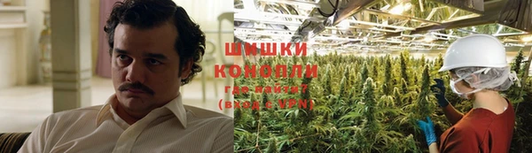 соль ск Новодвинск