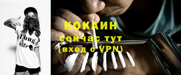 мдпв Няндома