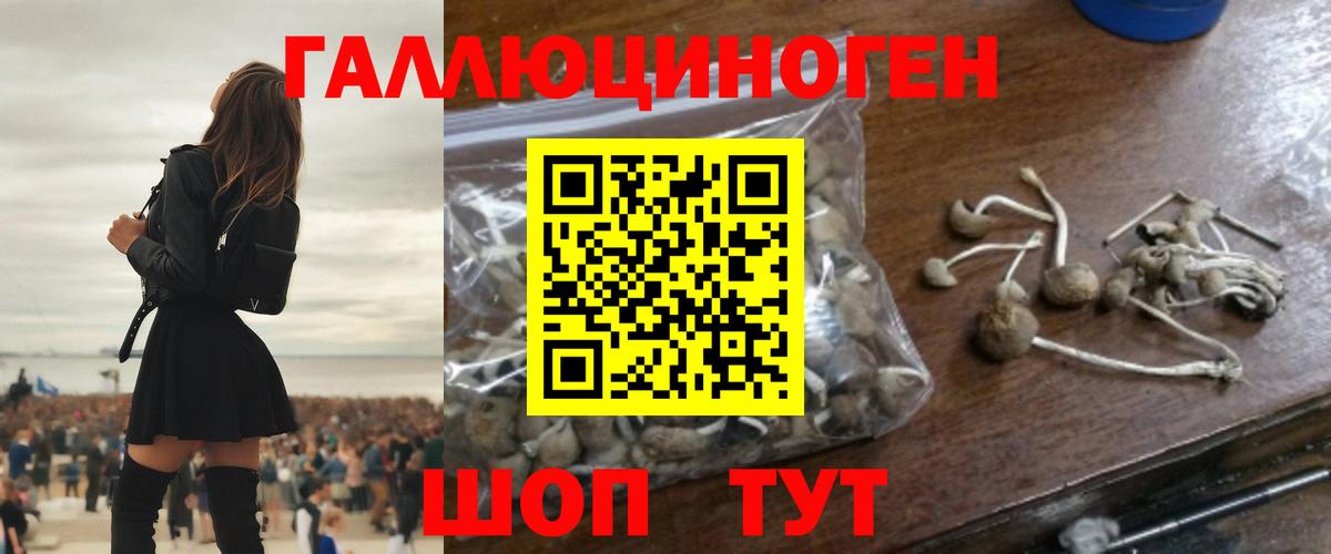 Галлюциногенные грибы ЛСД  Вход с VPN  Коряжма  Псилоцибиновые грибы GOLDEN TEACHER 